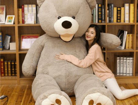Teddy Bear Plush Toy